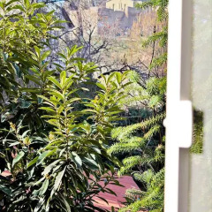 Отель Red Fox Guesthouse Стандартный номер с различными типами кроватей фото 7