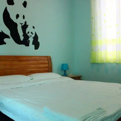 Chengdu Mrs Panda Hostel Номер категории Эконом с двуспальной кроватью (общая ванная комната) фото 2