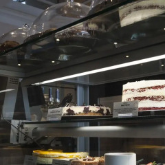 Отель Les Suites Victoria, an Ascend Hotel Collection Member Канада, Гатино - отзывы, цены и фото номеров - забронировать отель Les Suites Victoria, an Ascend Hotel Collection Member онлайн городской автобус