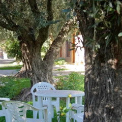 Отель Cabanas Calderon I Сан-Рафаэль фото 8