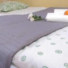 Гостиница Lesnaya Apartment в Санкт-Петербурге отзывы, цены и фото номеров - забронировать гостиницу Lesnaya Apartment онлайн Санкт-Петербург спа