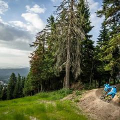 Отель Rila Hotel Borovets Болгария, Боровец - 2 отзыва об отеле, цены и фото номеров - забронировать отель Rila Hotel Borovets онлайн приотельная территория