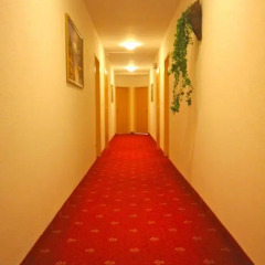 Altmann Hotel Вена интерьер отеля фото 2