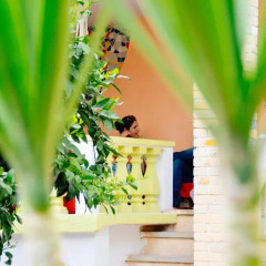 Отель Milingona City Center Hostel Албания, Тирана - отзывы, цены и фото номеров - забронировать отель Milingona City Center Hostel онлайн фото 4