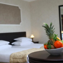 Strimon Garden SPA Hotel Кюстендил комната для гостей фото 3