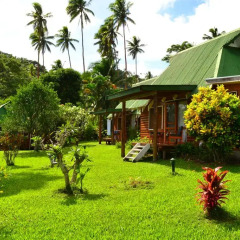 Отель Daku Resort Savusavu 3* Бунгало с различными типами кроватей фото 7