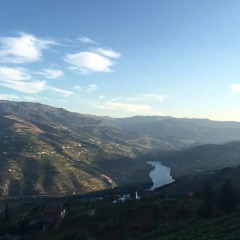 Отель Quintinha Do Miradouro Португалия, Мезан-Фриу - отзывы, цены и фото номеров - забронировать отель Quintinha Do Miradouro онлайн