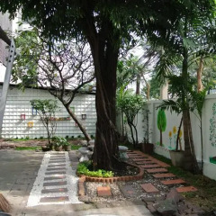Coop Dopa Hostel фото 8