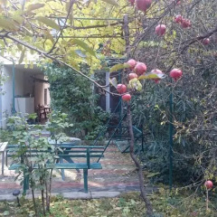 Отель Nika Guest house развлечения