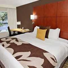 Отель Residence Inn by Marriott Milpitas Silicon Valley 3* Люкс с 2 отдельными кроватями фото 4