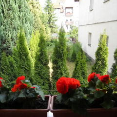 Отель Apartament Hektor Home Польша, Сопот - отзывы, цены и фото номеров - забронировать отель Apartament Hektor Home онлайн фото 2