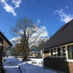 Отель Alpine Chalets Hakuba 3* Стандартный номер
