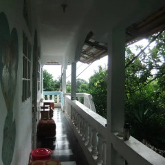 Garden Hostel балкон