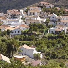 Отель Villa Pino