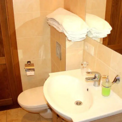 Отель R&R Spa Villa Trakai Литва, Тракай - отзывы, цены и фото номеров - забронировать отель R&R Spa Villa Trakai онлайн ванная фото 2