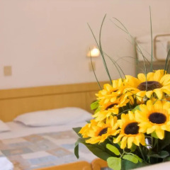 Hotel Italia комната для гостей фото 2