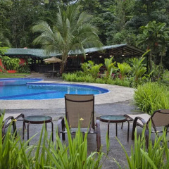 Отель Chachagua Rainforest Ecolodge бассейн