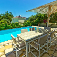 Отель Thassian Villas бассейн фото 3