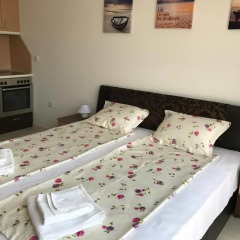 Отель Teddy House Болгария, Свети Влас - отзывы, цены и фото номеров - забронировать отель Teddy House онлайн комната для гостей фото 2