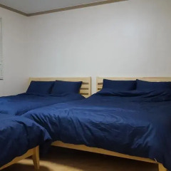 Seoul Forest Guesthouse - Hostel Стандартный семейный номер с двуспальной кроватью фото 2
