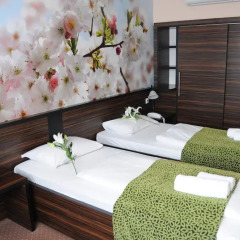 Green Hotel Budapest 4* Стандартный номер с двуспальной кроватью фото 2