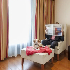 Star Inn Hotel Frankfurt Centrum, by Comfort 3* Номер Бизнес с различными типами кроватей фото 11