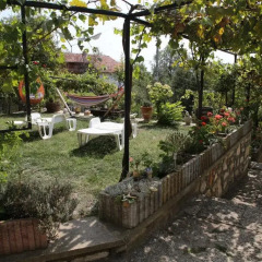 Отель Popov Guest House Болгария, Балчик - отзывы, цены и фото номеров - забронировать отель Popov Guest House онлайн помещение для мероприятий