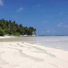 Отель Askani Thulusdhoo Остров Гасфинолу пляж фото 2