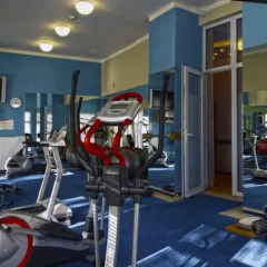 Hotel Richard фитнесс-зал фото 2