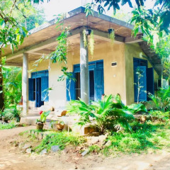 Отель Kataragama Homestay Номер категории Эконом с различными типами кроватей фото 2