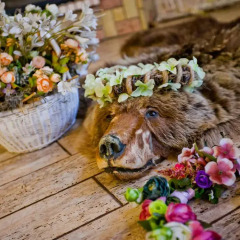Гостиница Медвежий угол с домашними животными