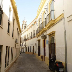 Отель Apartamentos Casa Rosaleda Испания, Херес-де-ла-Фронтера - отзывы, цены и фото номеров - забронировать отель Apartamentos Casa Rosaleda онлайн фото 6