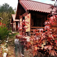 Отель Country Club Primi Faggi Санто-Стефано-ин-Аспромонте фото 6