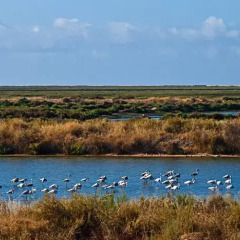 Отель Quinta do Monte em Moncarapacho фото 4