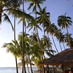 Отель Nikki Beach Resort 5* Вилла с различными типами кроватей фото 34