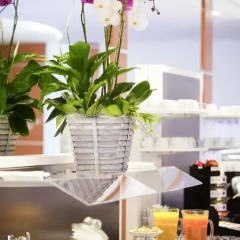 Отель Novotel Zurich City-West 4* Улучшенный номер с различными типами кроватей фото 7