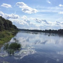 Гостевой Дом Три Медведя фото 3