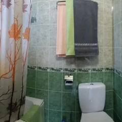 Гостиница Asteria Guest House в Южной Озереевке отзывы, цены и фото номеров - забронировать гостиницу Asteria Guest House онлайн Южная Озереевка ванная фото 3