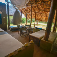 Отель Back of Beyond - Safari Lodge Yala 3* Бунгало с различными типами кроватей фото 2