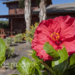 Отель El Rincón del Huroncillo фото 2