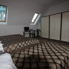 Отель Gino Paradise Spa & Resort 2* Стандартный номер с различными типами кроватей (общая ванная комната)
