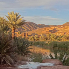 Отель Ecolodge Bab El Oued Maroc Oasis фото 5