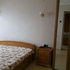 Hotel Panova комната для гостей фото 4