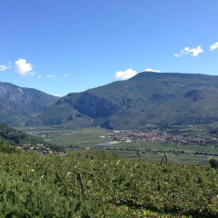 Отель Agritur Le Pergole Помароло фото 10