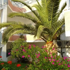 Отель Comfort Corali Beach фото 3
