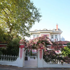 Merit Halki Palace Hotel Турция, Хейбелиада - отзывы, цены и фото номеров - забронировать отель Merit Halki Palace Hotel онлайн фото 2