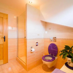 Отель Penzion U ZÁmku 3* Студия фото 3