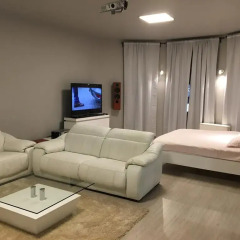 Апартаменты Studio Apartament Centrum Katowice комната для гостей фото 5