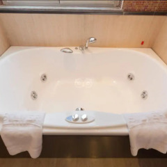 Hotel Silver 4* Стандартный номер с различными типами кроватей фото 7
