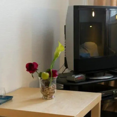 Hostel Snoozemore Стандартный номер с различными типами кроватей фото 4